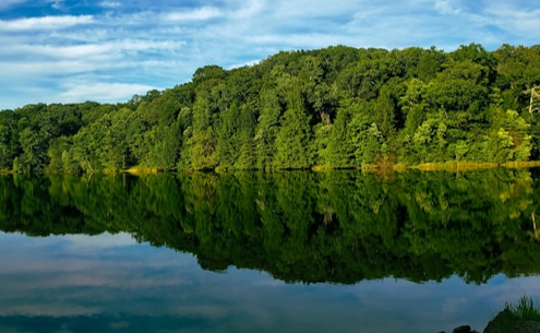 Quick Link Apply for a Bingo License