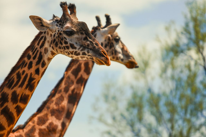 Nonprofit News October 2024